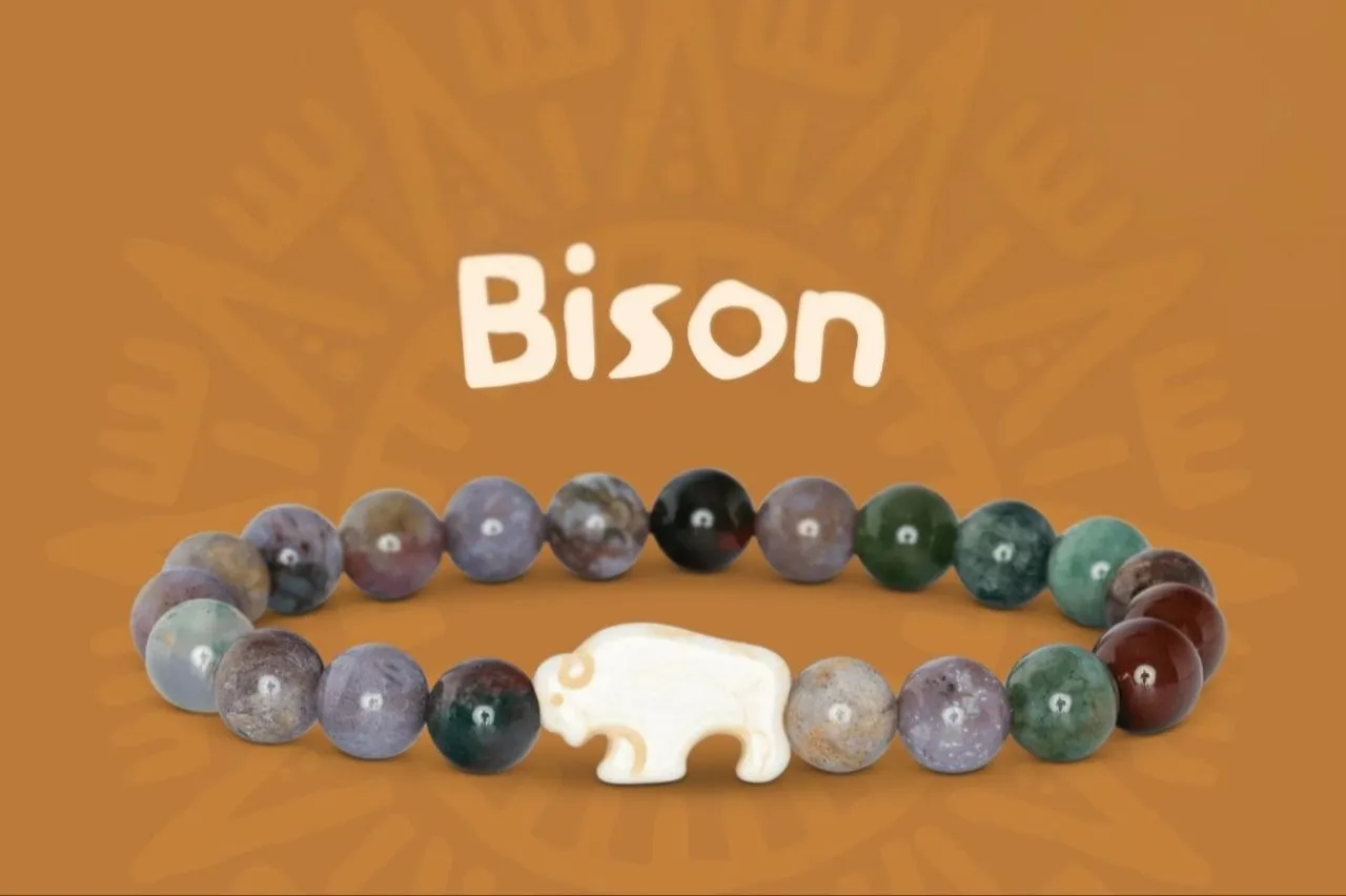 The Bison Bracelet — Різнокольоровий 2