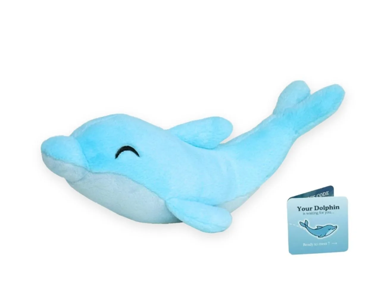 The Dolphin Plush