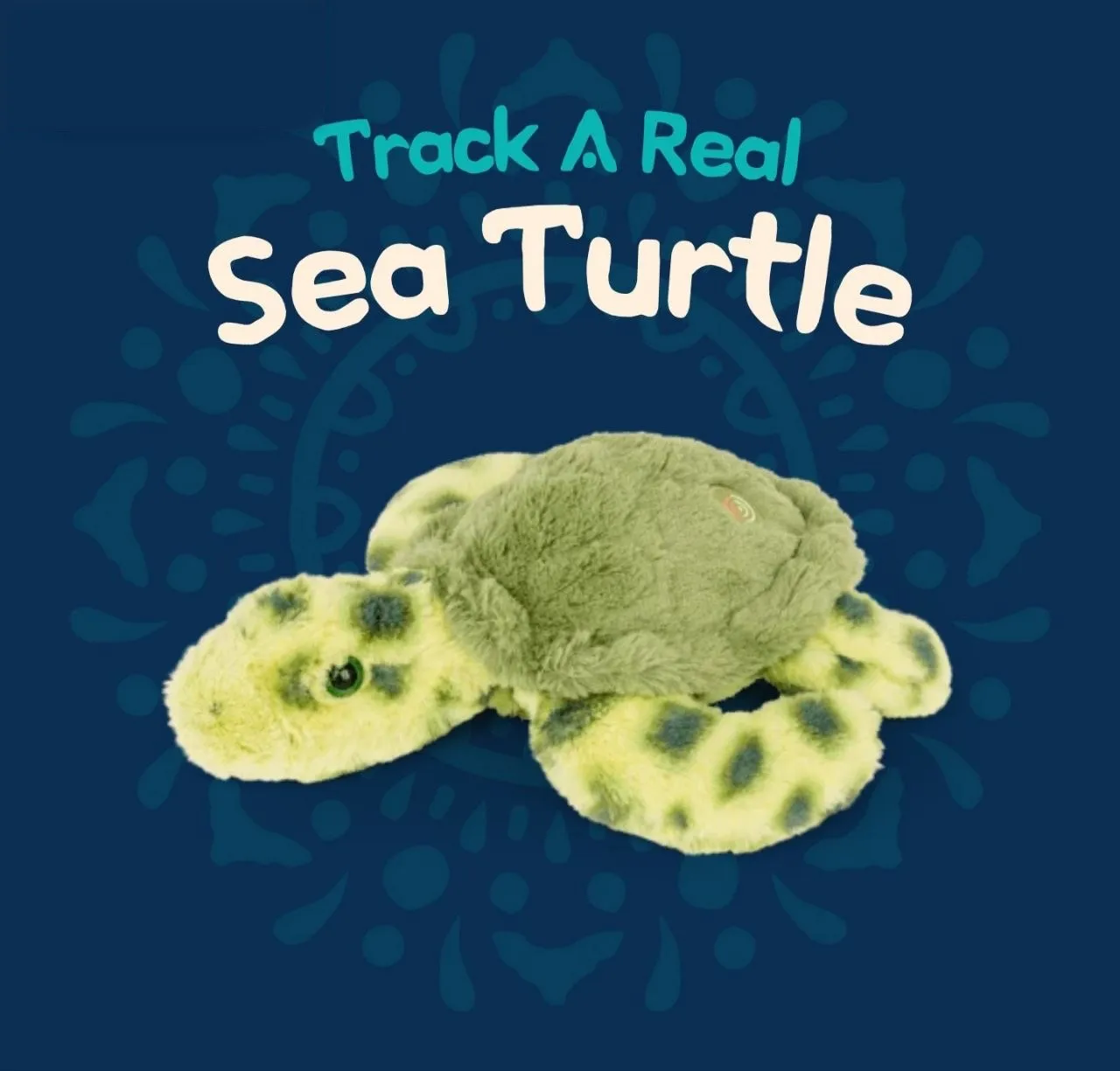 The Sea Turtle Plush